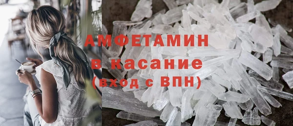 индика Горнозаводск