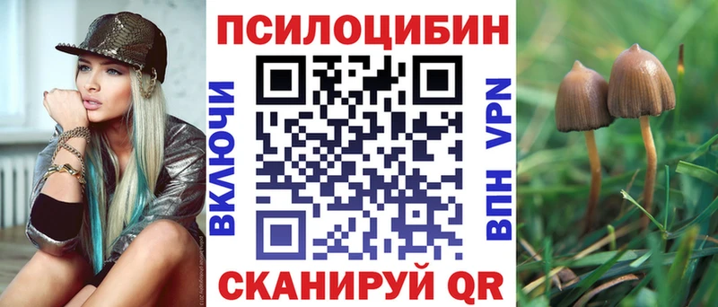 Галлюциногенные грибы прущие грибы  закладки  Завитинск 